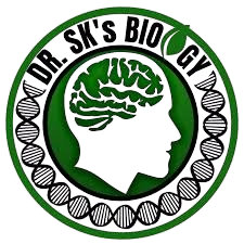 dr.sk logo